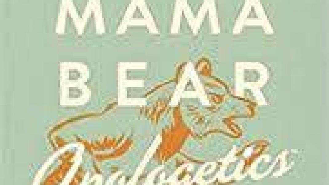 picture of Mama Bear Apologetics book cover